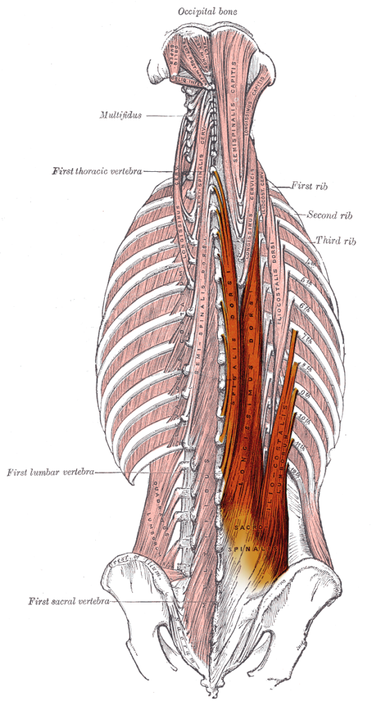 Altered Walking Mechanics Leads To Back Pain Braceworks Custom Orthotics