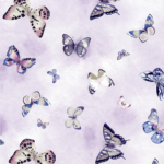 butterflies_big
