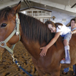 Horseback riding improves children's cognitive ability