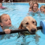 Pup dives in for special-needs kids