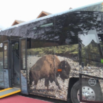 New wheelchair-friendly public buses connect Banff and Lake Louise